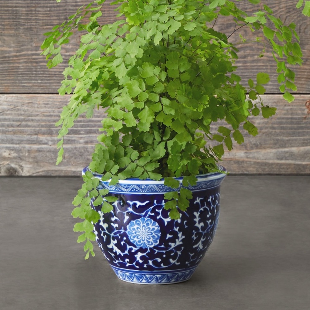 Williams Sonoma Blue & White Ceramic Planter, Extra Small